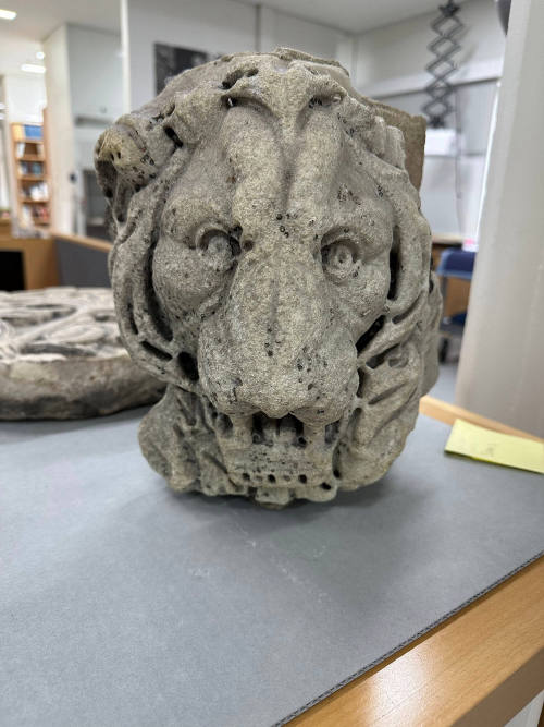 Head of a Lion