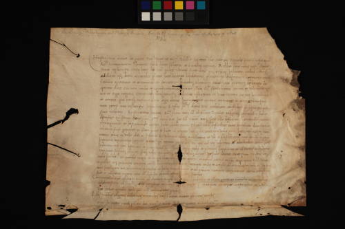 Letter to Antonius de Priolis from Venice