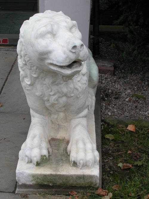 Guardian Lion