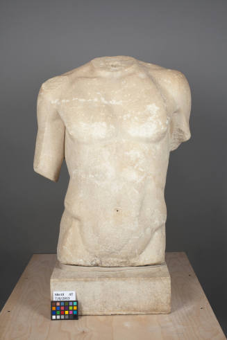 Torso of a Man